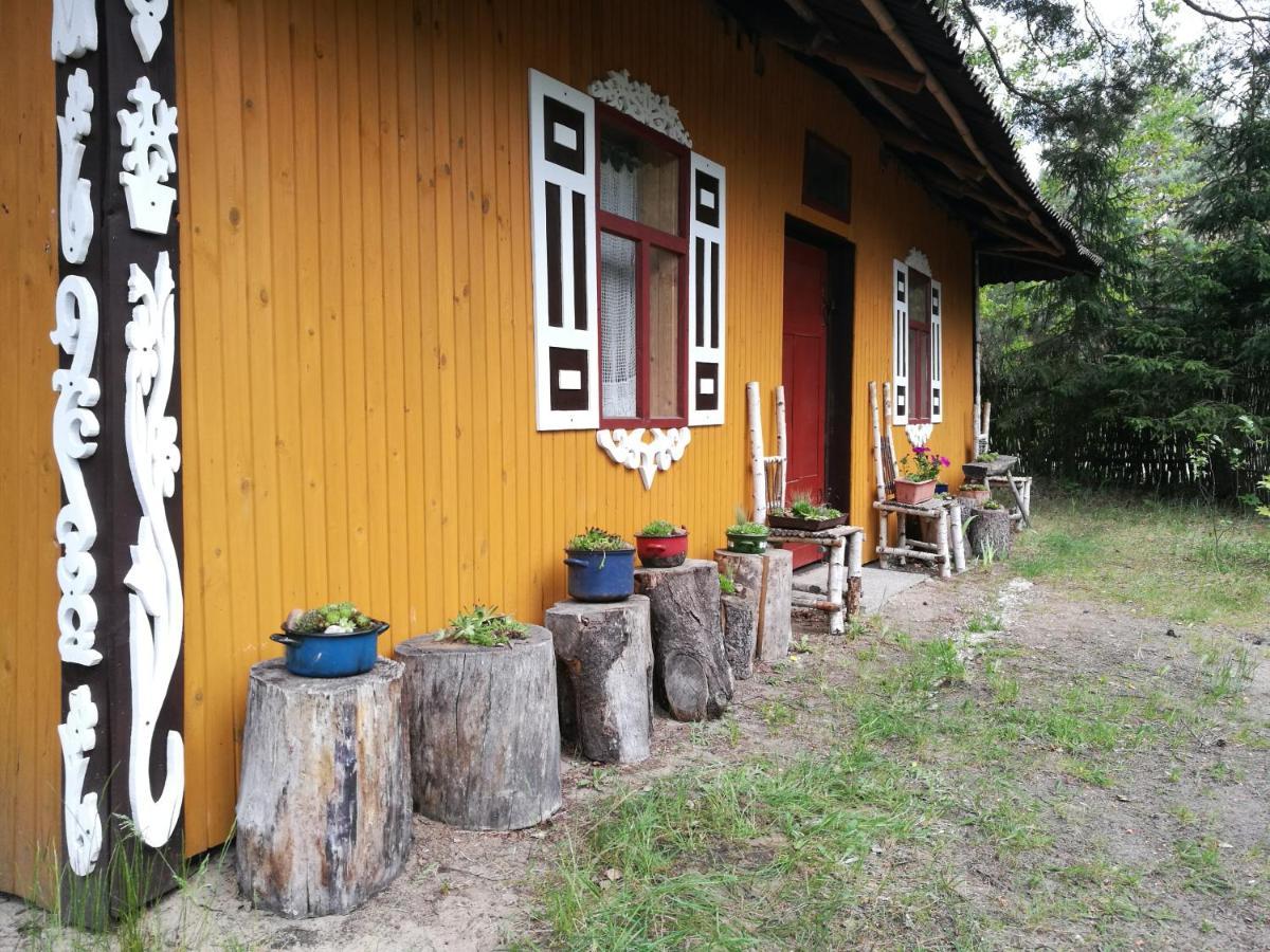 Willa Bora Zdrój - pokój czteroosobowy 1 Narewka Zewnętrze zdjęcie